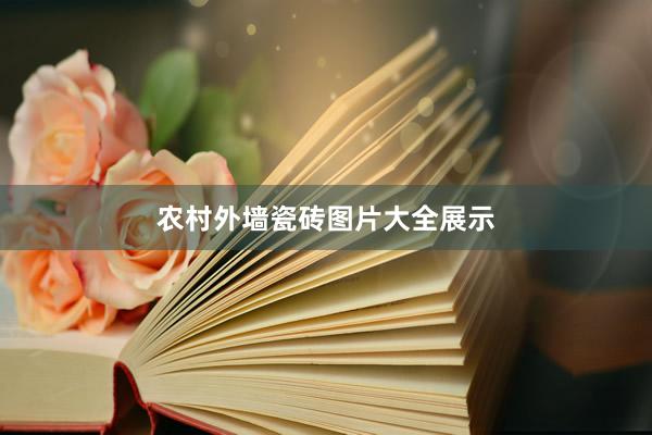 农村外墙瓷砖图片大全展示
