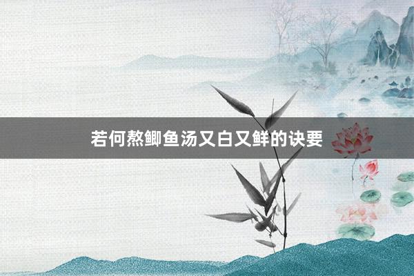 若何熬鲫鱼汤又白又鲜的诀要